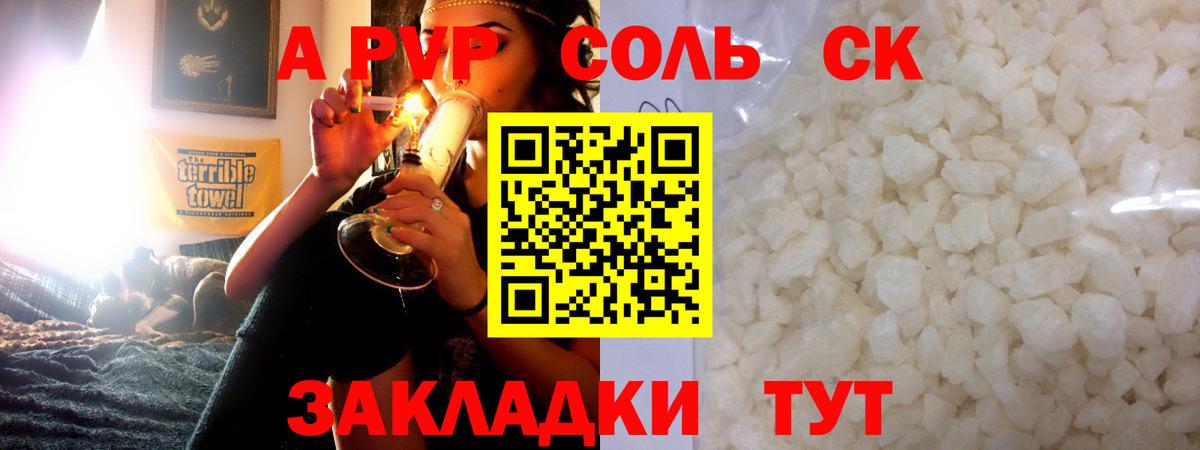 Альфа ПВП СК Новодвинск