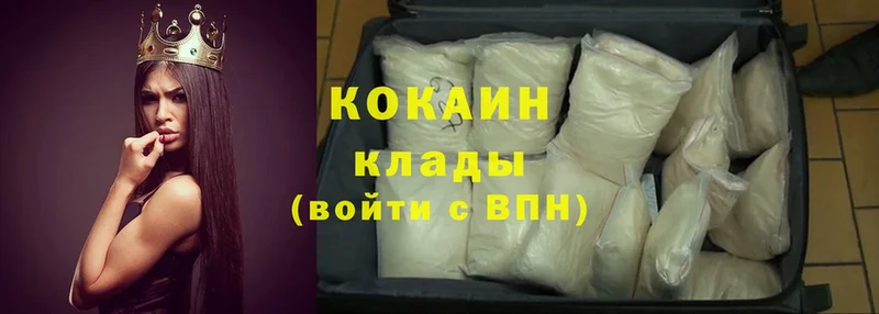 Cocaine Fish Scale  MEGA зеркало  Новодвинск 