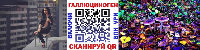 Псилоцибиновые грибы Psilocybe  Новодвинск 