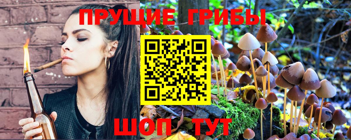 Галлюциногенные грибы мицелий Новодвинск