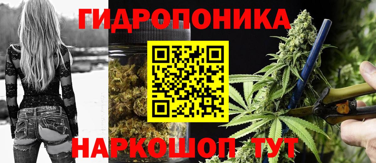 Бошки Шишки семена  Марихуана OG Kush  МАРИХУАНА конопля  Новодвинск 