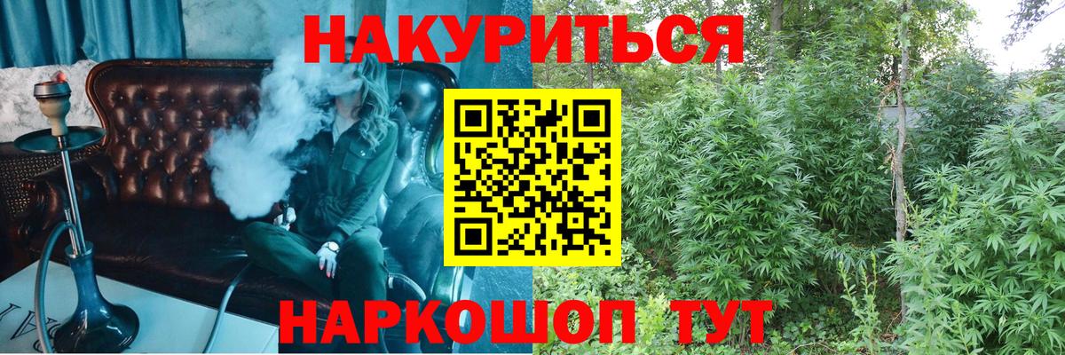 Шишки марихуана сатива Новодвинск